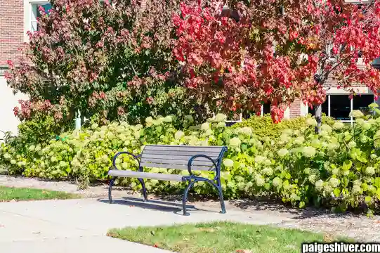 The Professor Problem