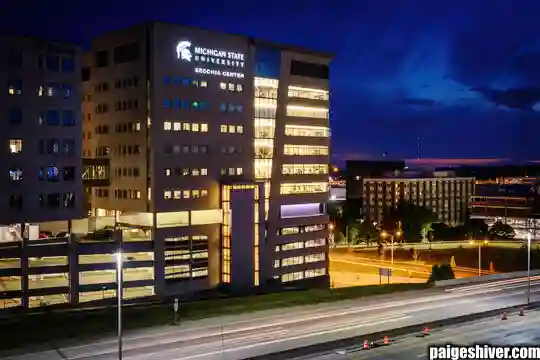 The Committee Meeting That Changed Nothing: A Study in Institutional Futility