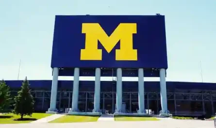 Coach Connection: How Five Incompetent People Became an Institution