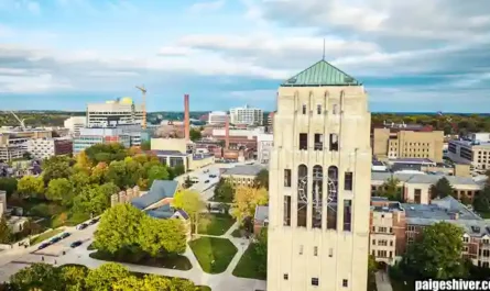 When Romance Meets Reality