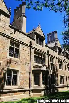 The Transfer Portal Panic: How Universities Built a Revolving Door and Called It Strategy