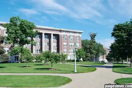 The Roommate Situation