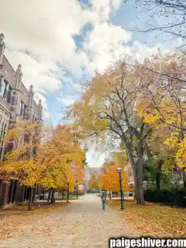 The Professor Problem