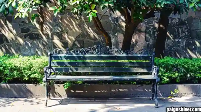 First Week Survival Guide