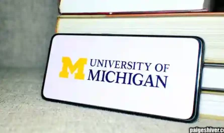 Sports Journalism Awakening: When Administrative Work Became an Investigative Superpower