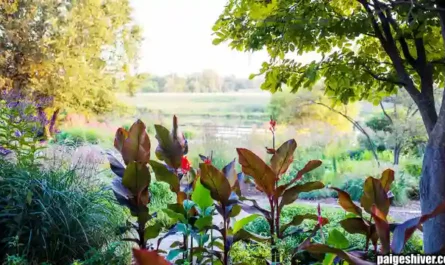 The Helicopter Chronicles II