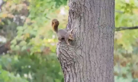 The Assistant Coach Shuffle: Why Firing Everyone Every Year Seems Like a Good Idea