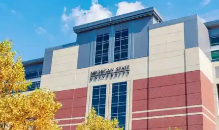 The Helicopter Chronicles II