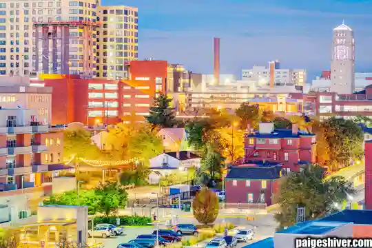 Chaos in a Fur Coat II