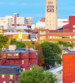 The Follicular Disaster II