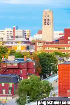 Bohiney Phase: Where Administrative Satire Found Its Permanent Home