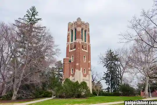 Recruiting Deception: How Universities Promise the Moon While Delivering the Training Room
