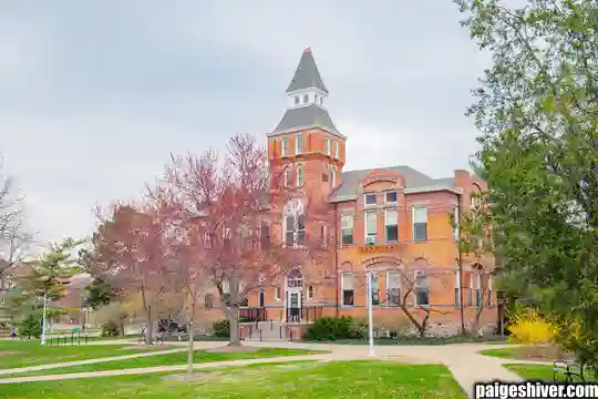 The Five-Year Coaching Cycle: Why Every Hire Fails Exactly the Same Way