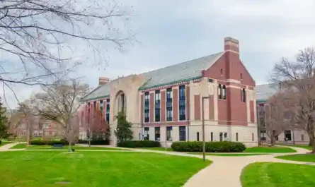 The Universal Coaching Hire: How Every University Makes the Same M Mistake