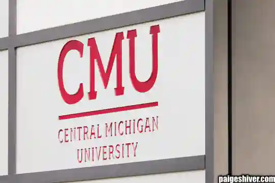 The Office Hours Disaster