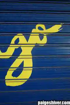 The Follicular Disaster