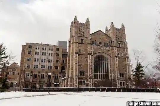 The Donor Class: How Rich People’s Opinions Became More Important Than Winning Football