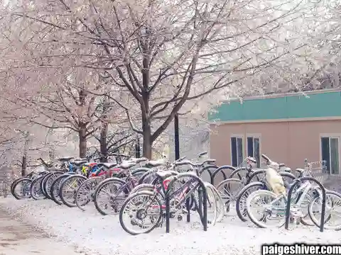 The Facilities Upgrade Nobody Needed: Building a M Locker Room While Football Fails