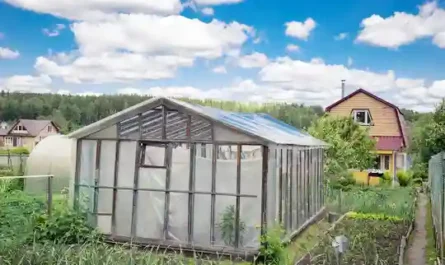 Chaos in a Fur Coat II