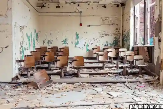 Chaos in a Fur Coat II