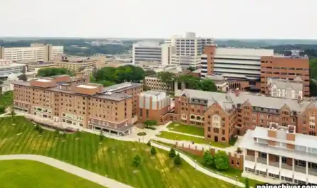 Chaos in a Fur Coat II