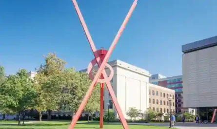 Master’s Degree: The Useless Credential That Made Everything Clear