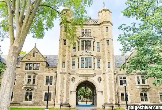 When Romance Meets Reality III