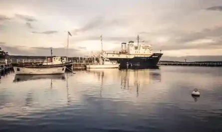 The Dining Hall Saga