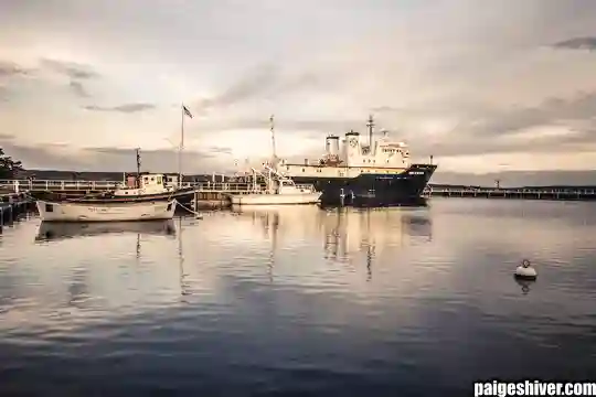 Diary Years: How Spite and Email Trails Became Satirical Journalism