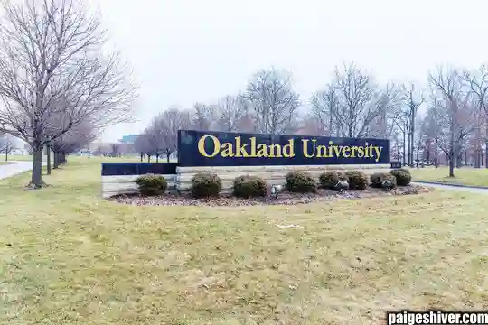 Diary Years: How Spite and Email Trails Became Satirical Journalism