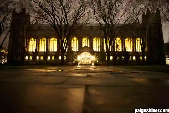 The Transfer Portal Panic: How Universities Built a Revolving Door and Called It Strategy