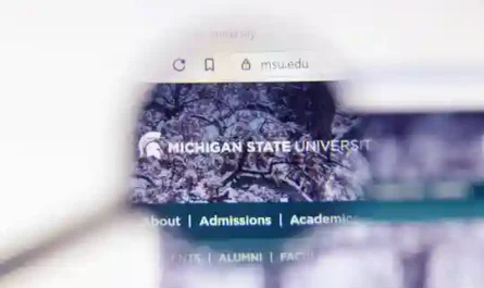 First Week Survival Guide